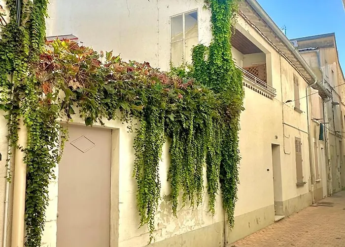 Gite Avignon Bougainvillier